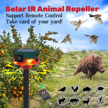 Solar Motion Sensor Alarm for your Backyard and Fences.